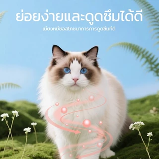 PAWZA PET ขนมเเมวเลีย ขนมแมว แถบแมว cat snack stick 6 รสชาติ รสไก่-กุ้ง/รสทูน่า/รสไก่/รสเนื้อวัว/รสปลาค็อด/รสแซลมอนและไก