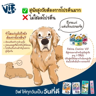 Felina Canino VIF อาหารเปียกสำหรับสุนัข ขนาด 75 กรัม (12ซอง)
