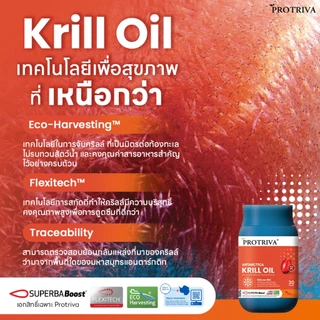 Protriva Antarctica Krill Oil (1 กระปุก) โปรทริว่า แอนตาร์กติกา คริลล์ ออย (จำนวน 30 แคปซูล)