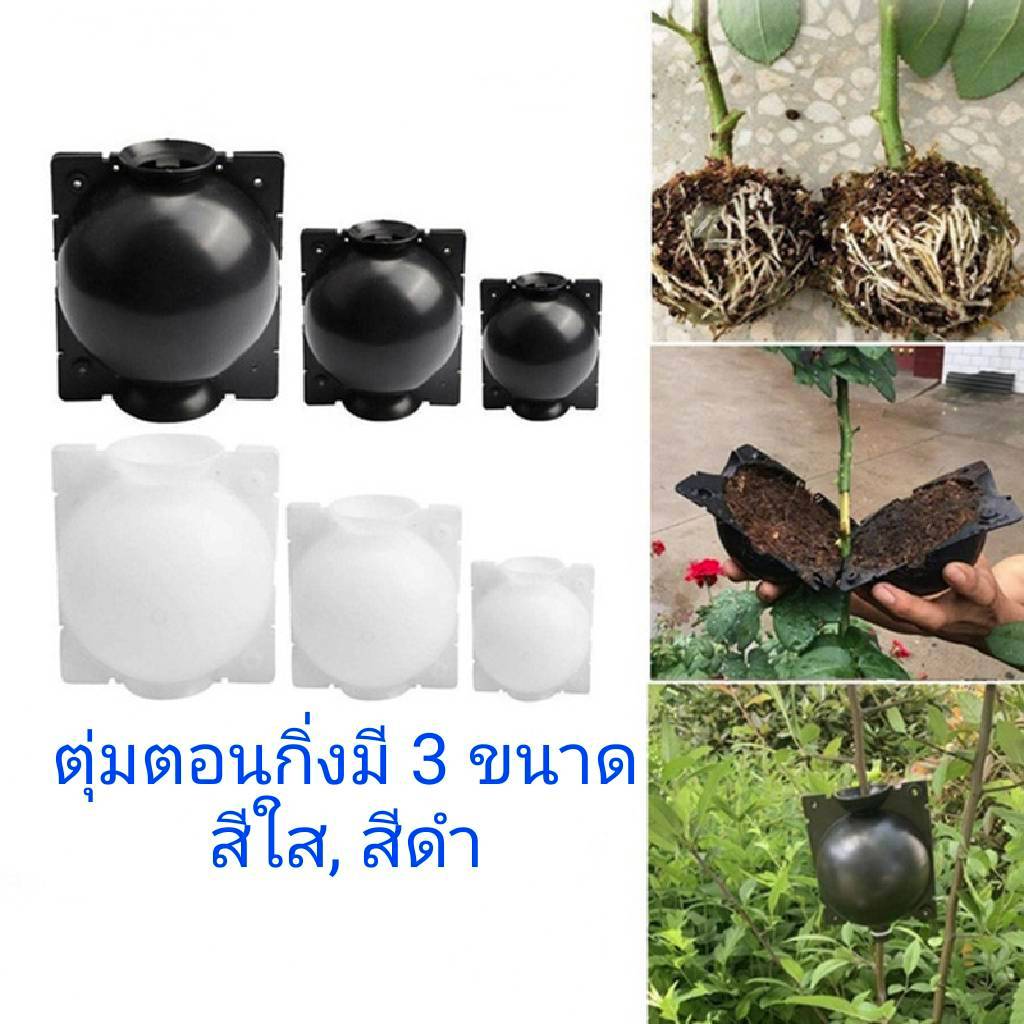 แพ็ค10ชิ้น ตุ้มพลาสติก ตุ้มตอนกิ่ง ทนทาน เหนียว แข็งแรง ไม่เป็นเชื้อรา ใช้ซ้ำได้หลายครั้ง