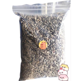 เมล็ดทานตะวันลาย (แบ่งขาย 500 g. ,200g., 1 kg.) อาหารนกแก้ว นกเล็ก เเละนกขนาดกลาง อาหารแฮมเตอร์ เเละสัตว์ฟันเเทะ