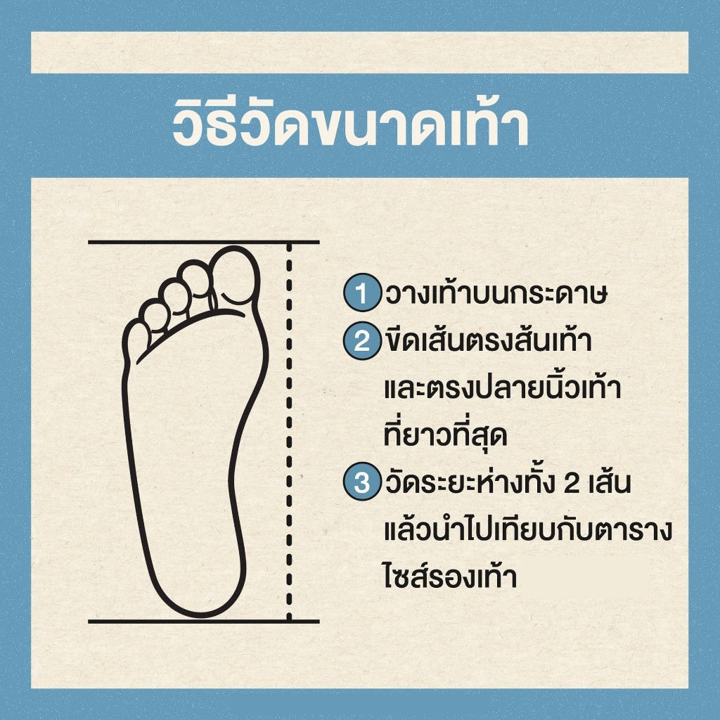 รูปภาพ 8