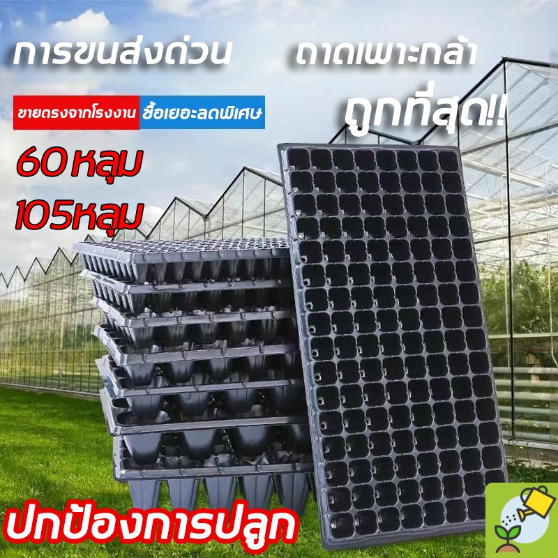 🌱มือใหม่ก็ปลูกได้!ถาดเพาะ ถาดเพาะกล้า ถาดเพาะชำ ถาดเพาะเมล็ด หนามาก 🌱 งอกไว 3 วันเห็นผลจริง! เกษตรกรยังเลือกใช้!