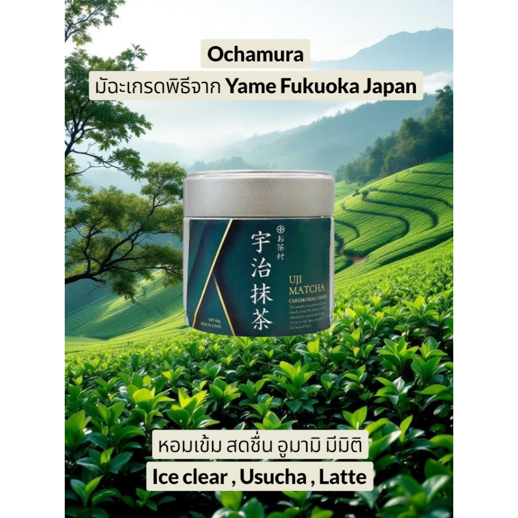 พร้อมส่ง Ochamura Yame Matcha  รุ่น  Uji นำเข้าจากไร่ชาญี่ปุ่นโดยตรง หอมชัด สีสวย มีมิติ