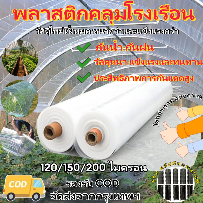 พลาสติกโรงเรือนใส PE หนา 120/150/200 ไมครอน สำหรับโรงเรือนเพาะชำและคลุมโรงเรือน
