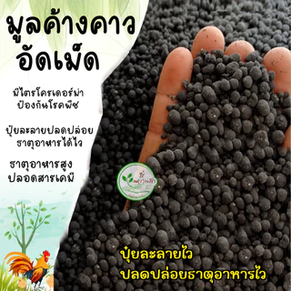 มูลค้างคาวอัดเม็ด ขี้ค้างคาว ปุ๋ยค้างคาวคุณภาพสูง เกรดA ละลายไวไร้กลิ่น** ผสมไตรโครเดอร์ม่า *เร่งดอกเร่งผล