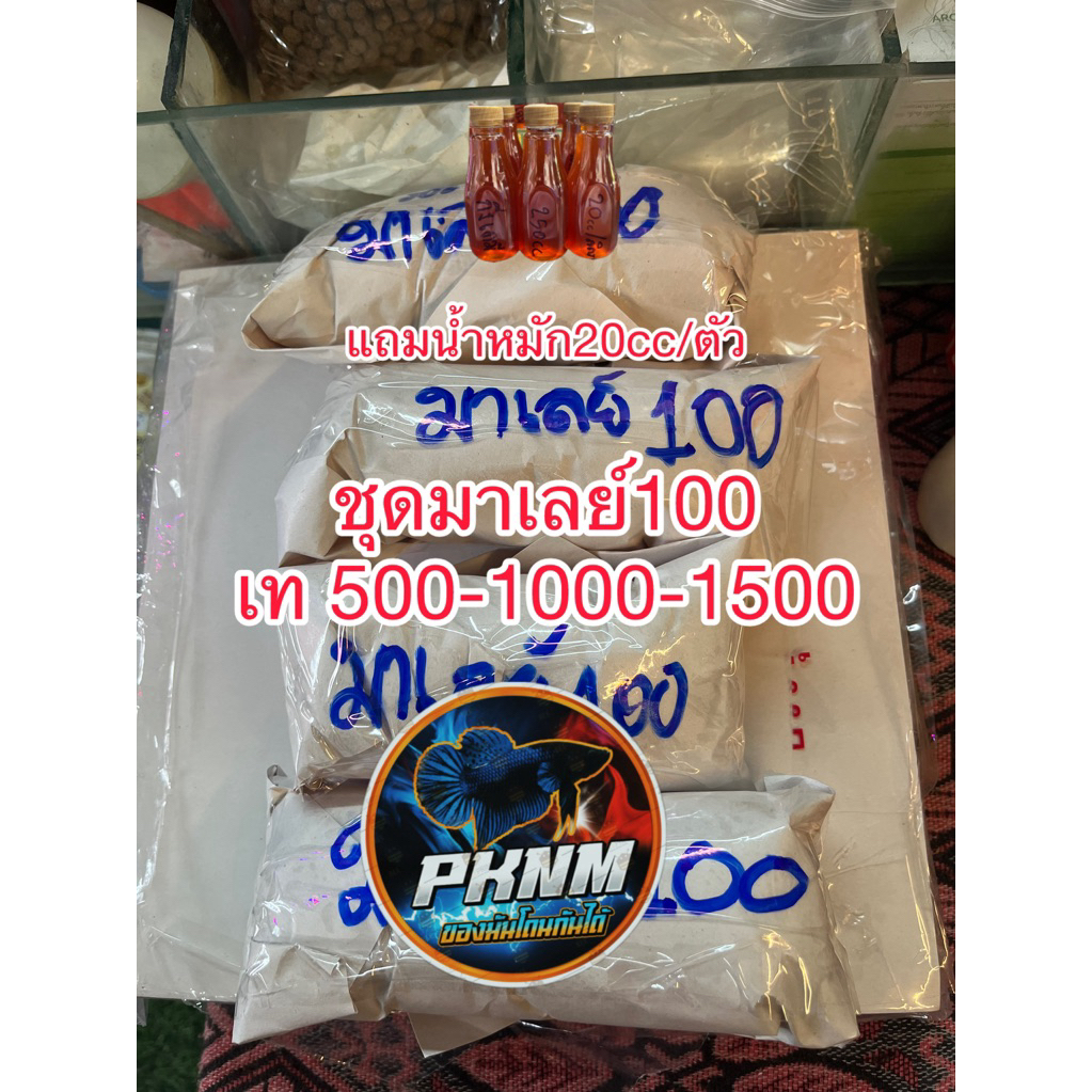 น้ำหมักพร้อมส่งหนังเหนียวเคี้ยวยาก