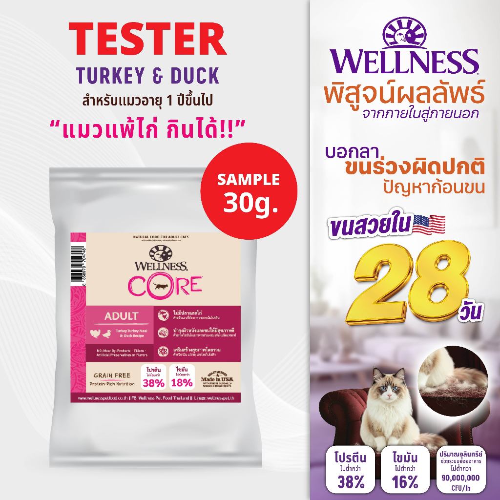 SAMPLE อาหารแมว WELLNESS CORE: Turkey&Duck (30g)