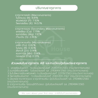 ปุ๋ยน้ำกรีนเฮาส์แท้ ปุ๋ยน้ำ AB สำหรับปลูกพืชไฮโดรโปนิกส์ ผักสลัด และผักไทย คุณภาพดี ราคาถูก พร้อมส่ง