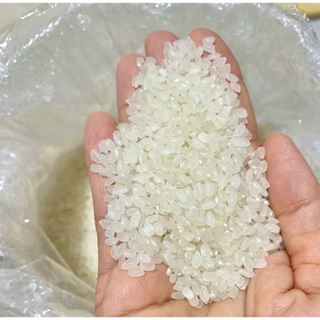 ข้าวญีปุ่นแท้เกรดพรีเมียม ✨เหนียวนุ่ม อร่อย | ปั้นซูชิสวย🍱✨(5Kg./10Kg./15Kg.) 🍙