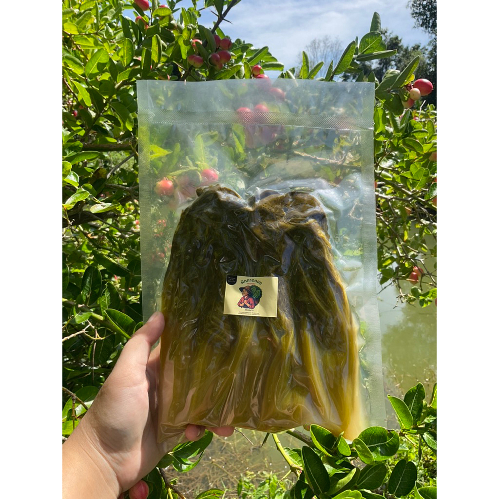 🥬 ผักกาดดองพรีเมียม เกลือหิมาลัยชมพูแท้ 500g-1kg. | เปรี้ยวกลม เค็มอ่อน หอมหมักธรรมชาติ - รูปที่ 5