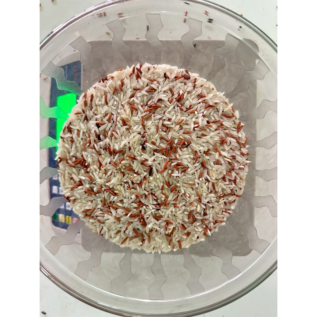 [ชุด 15 กก] ข้าวขาวกข43ผสมข้าวกล้องมะลิแดง ข้าวหอม อร่อย นุ่ม หุงง่าย ไม่ต้องผสมเพิ่ม
