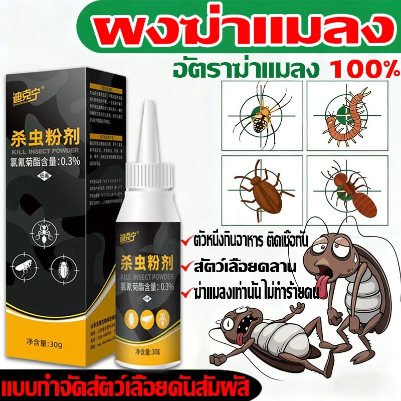 ไล่ตุ๊กแก ตะขาบ จิ้งจก กำจัดแมลง ยาฆ่าแมลงในบ้าน สูตรใหม่ ปลอดภัย ใช้ได้กับภายนอกและภายในบ้าน