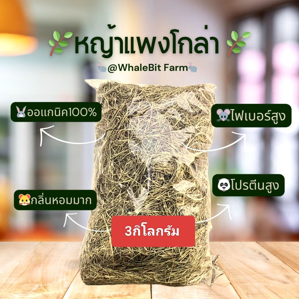 หญ้ากระต่าย หญ้าแพงโกล่า 2กิโลกรัม