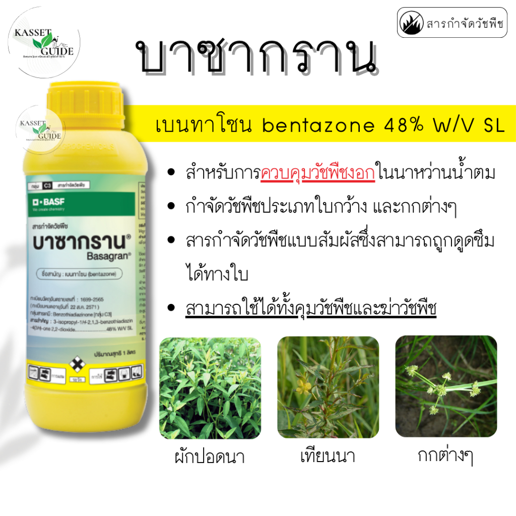 บาซากราน ขนาด 1 ลิตร เบนทาโซน (Bentazone)48% SL ข้าวปลอดภัย กำจัดหนวดปลาดุก กก ตายไว ตายสนิท