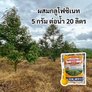 ฟลูมิออกซาซิน 50 WP คุมวัชพืชทุกชนิดก่อนงอก ในไร่มันสำปะหลังและไร่อ้อย นาหว่านแห้ง คุมนาน 2-3 เดือน