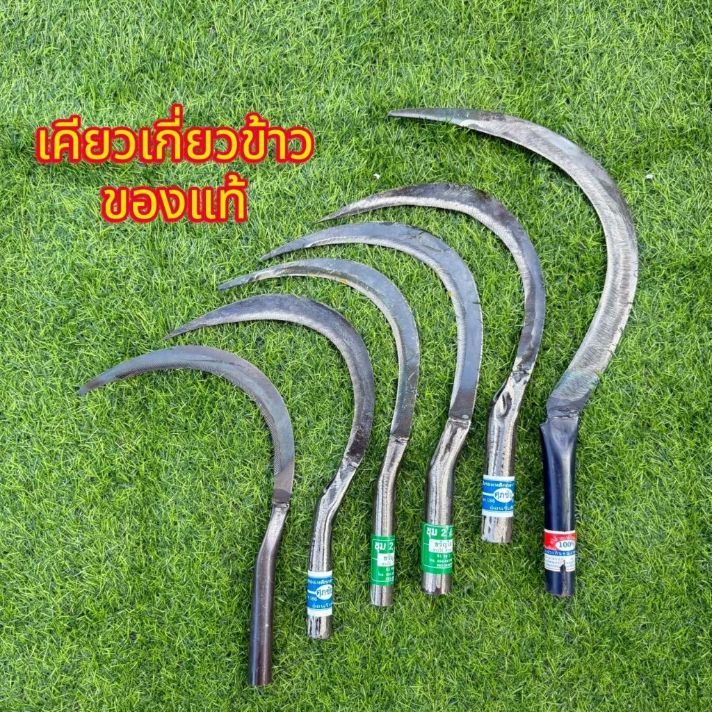 เคียวเกี่ยวข้าว เคียวเกี่ยวหญ้า 8 10 นิ้ว คมมาก