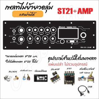 แผ่นเพลทไฟลำโพงบลูทูธ ZK-ST21 / ZK-ST21+AMP ไม่ย้ายวอลุ่ม สีดำยิงทราย