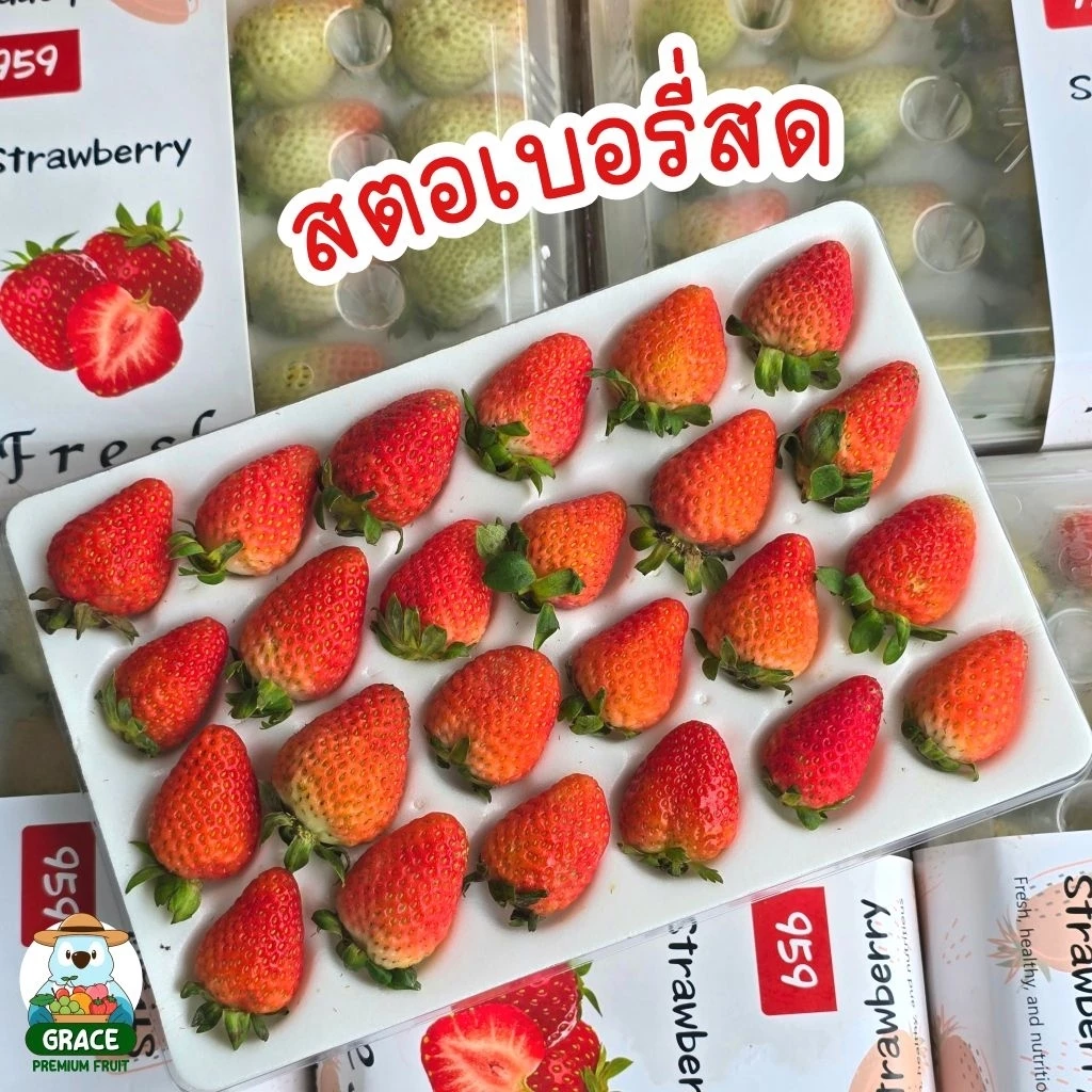 สตอเบอรี่สด 🍓🍓 โปรดอ่านรายละเอียดก่อนสั่งซื้อ แพ็ค 20-24 ลูก