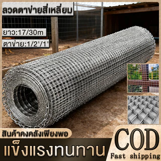 ยกม้วน30m 🔥 ตา1" 1/2'' ลวดตาข่ายสี่เหลี่ยมชุบกัลวาไนซ์ ตะแกรงกรงไก่นก G รั้วตาข่าย ตาข่ายลวดเอนกประสงค์ปูพื้นผนัง 1.4mm