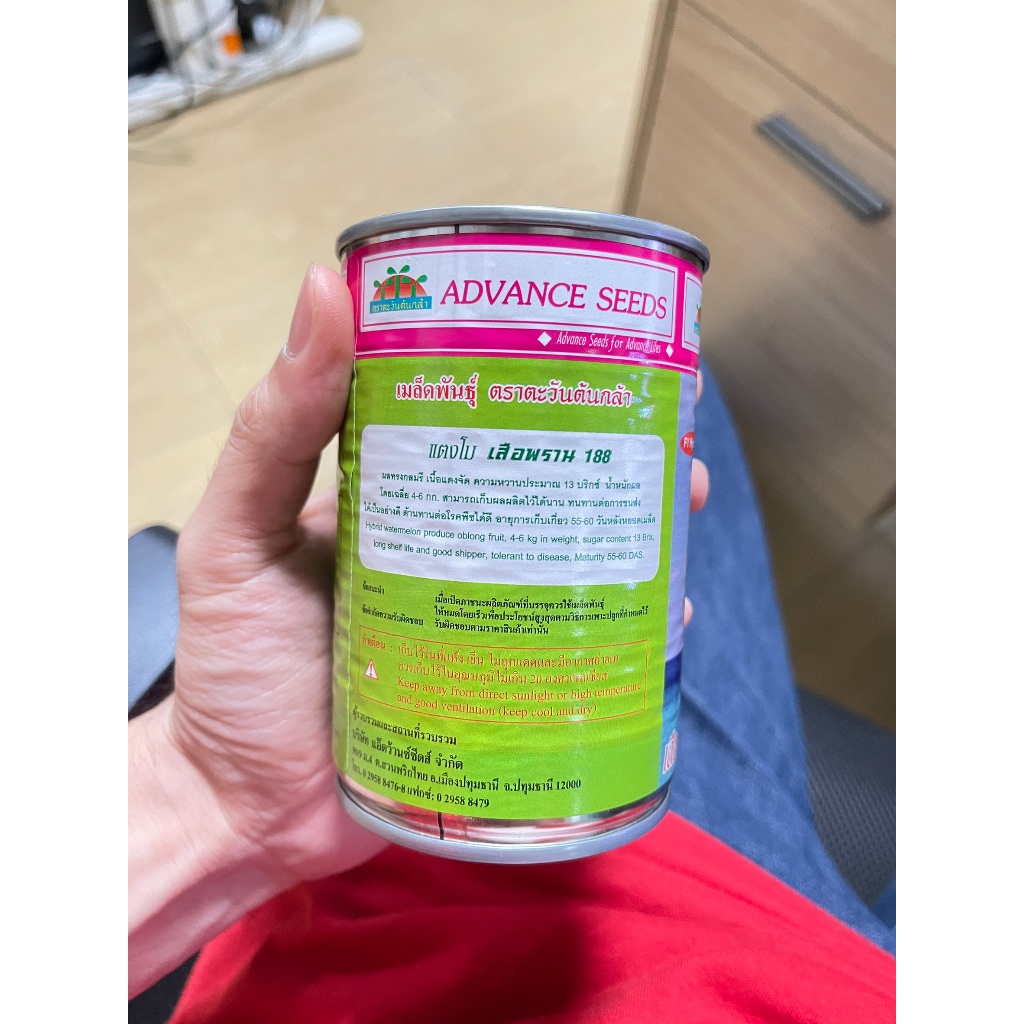 เมล็ดพันธุ์ แตงโมลูกผสม เสือพราน188 ตราตะวันต้นกล้า 50 กรัม - รูปที่ 2