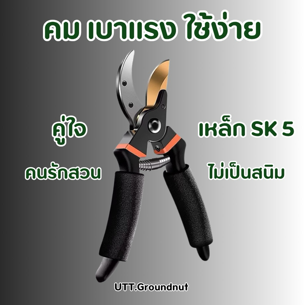กรรไกรตัดกิ่งไม้ เหล็กกล้า SK5 กรรไกรแต่งกิ่ง สแตนเลส คมพิเศษ เครื่องมือทำสวน อุปกรณ์จัดสวน