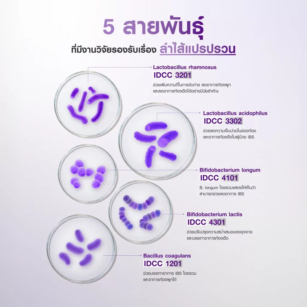 Bomi 20.10 Advance Probio+ โบมิ แอดวานซ์ โพรไบโอ พลัส [14 ซอง] โพรไบโอติกส์ โพรไบโอติก โปรไบโอติก ซอง thumbnail 6