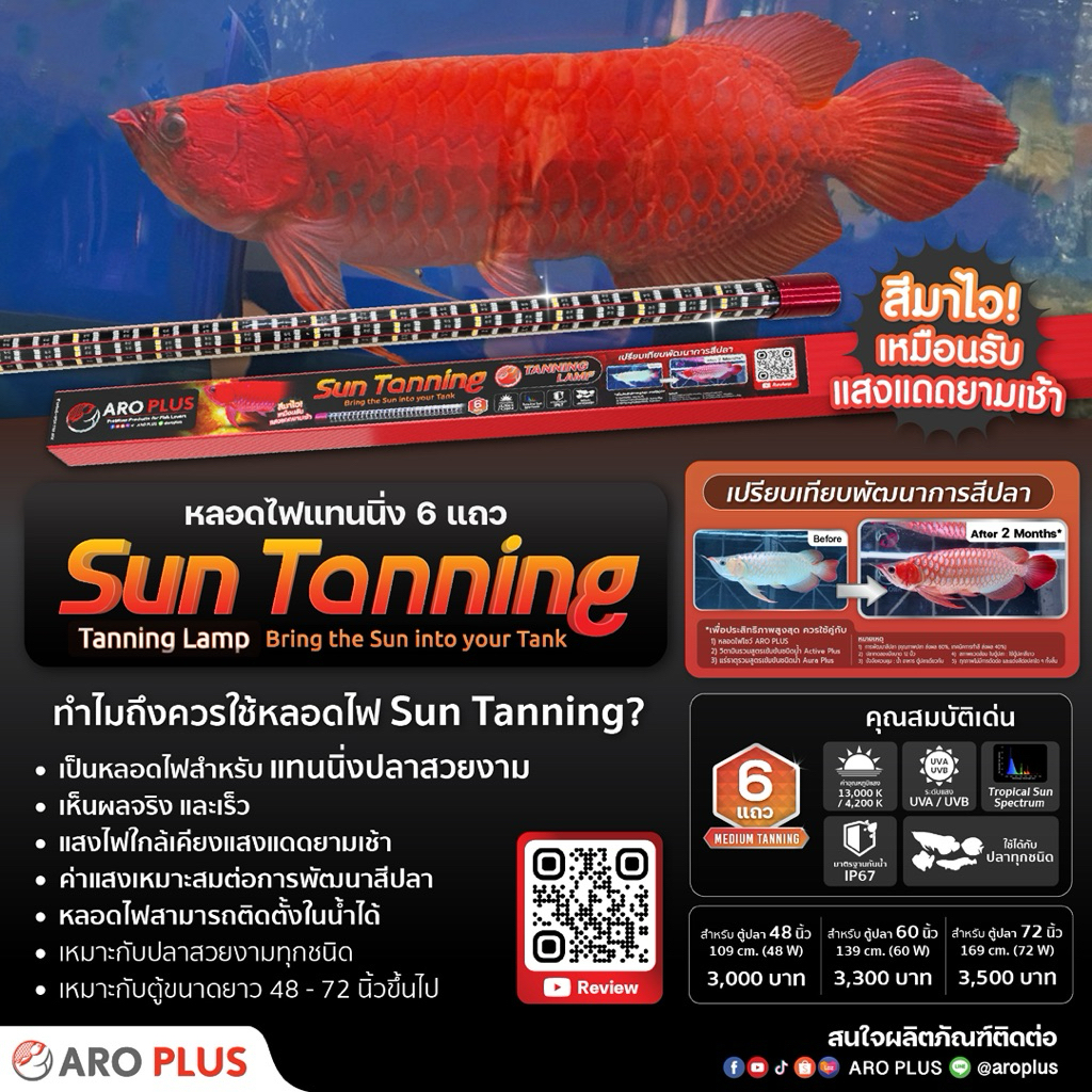 ☀️ Sun Tanning  หลอดไฟ Tanning  LED ที่แรงสุดในตลาดตอนนี้ เม็ดไฟเยอะสุดในตอนนี้