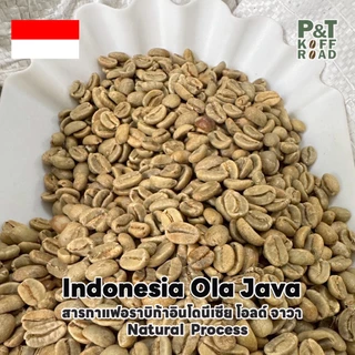 [พร้อมส่ง] สารกาแฟ Indonesia Ola Java Natural Process บรรจุ 500g. - 1 kg. P&T KoffRoad