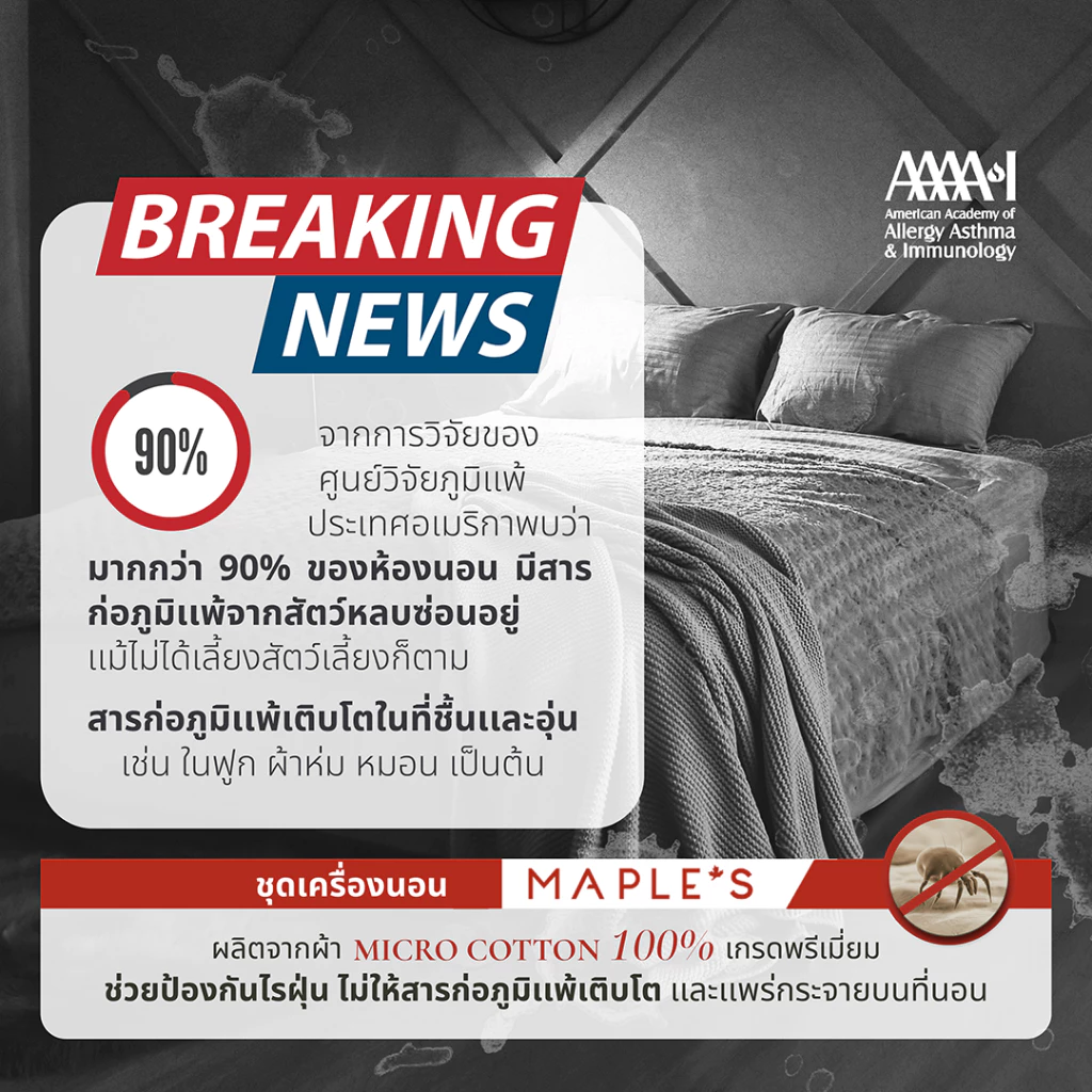 MAPLE S ผ้าปูที่นอนรัดมุม รุ่น Solid/Jacquard กันไรฝุ่น สูง 6-10 นิ้ว thumbnail 5