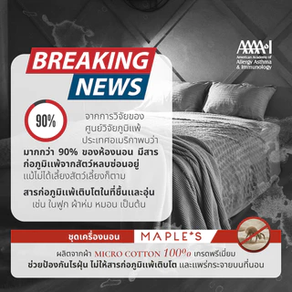 MAPLE'S ผ้าปูที่นอนรัดมุม 550-770เส้น รุ่นSolid/Jacquard กันไรฝุ่น สําหรับคนเป็นภูมิเเพ้ สูง6-10นิ้ว