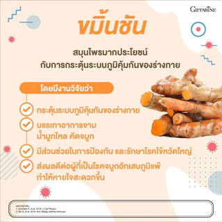 ขมิ้นชัน กิฟฟารีน เคอร์คิวมา ซี-อี ผลิตภัณฑ์เสริมอาหาร ขมิ้นชันผสมวิตามินซีและวิตามินอี