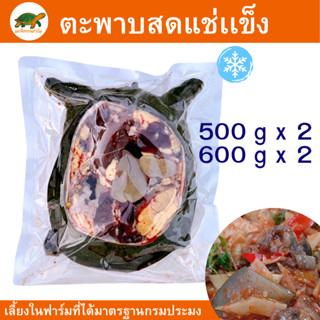 ตะพาบสดแช่แข็ง ตะพาบชุดคู่ 2 ตัว ไม่มีไข่ 500 - 800 กรัม มะล…