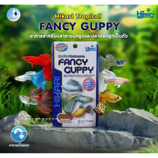 Hikari Fancy Guppy 22g. อาหารสำหรับปลาหางนกยูง