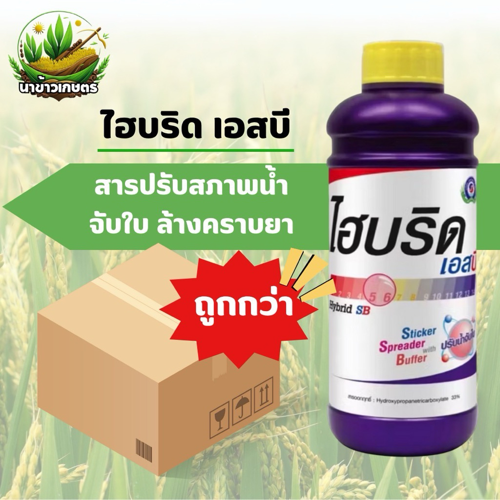 ยกลัง ไฮบริด เอสบี 1 ลิตร สารปรับสภาพน้ำ จับใบ ล้างคราบยา ช่วยให้สารละลายเข้ากันดีขึ้น ช่วยแผ่กระจาย – โปรปัง