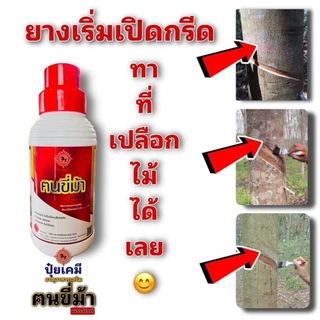 ปุ๋ยน้ำฅนขี่ม้าพาราไวท์หนุ่มทองแดงแหลงไหรให่เทือนยางพาราออกดีเปอร์เซนต์ดีบำรุงต้นยางสมบูรณ์