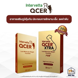 QCER [แท้💯] อาหารเสริมต่อต้านมะเร็ง (คิวเซอร์) เสริมภูมิคุ้ม…
