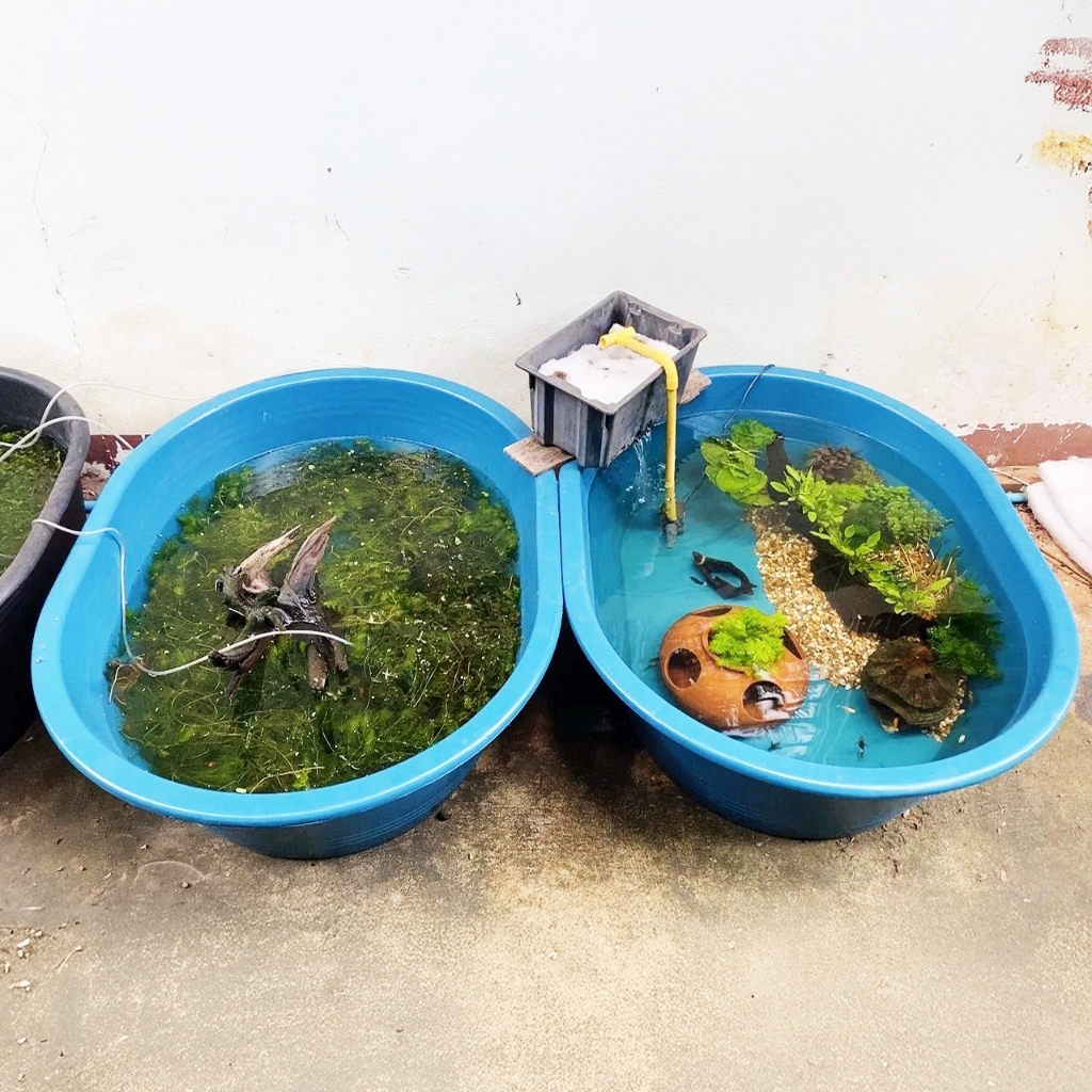 อ่างเปล อ่างบัว อ่างผสมปูน 200 ลิตร สีดำ - อ่างพลาสติก อ่างเลี้ยงปลา - 0332 - 4