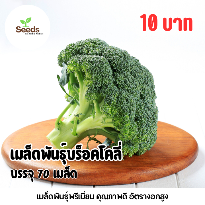 เมล็ดบร็อกโคลี่ (Broccoli) บรรจุ 70 เมล็ด
