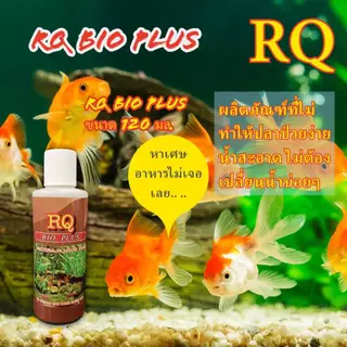 ผลิตภัณฑ์แบคทีเรียในรูปแบบของเหลว อาร์คิว ไบโอ พลัส RQ Bio Plus ขนาด 120 มล. ฝาสีขาว สำหรับปลาสวยงามน้ำจืดและน้ำทะเล