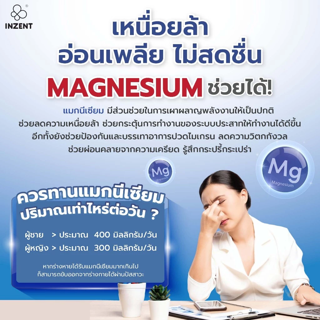 [1แถม1] MAGNESIUM BISGLYCINATE เเมกนีเซีเซียม บิสไกลซิเนต  ตราอินเซ้นส์[A46] thumbnail 3