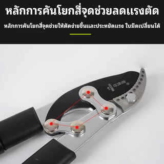 กรรไกรตัดกิ่งไม้ ด้ามจับถนัดมือ ใบมีด SK5 คมทน ใช้ตัดกิ่ง พุ่มไม้ และต้นไม้สูง ด้ามยาวปรับได้ เหมาะสำหรับงานสวนทุกประเภท