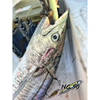เหยื่อจิ๊ก แคส NC50 by fishingNC