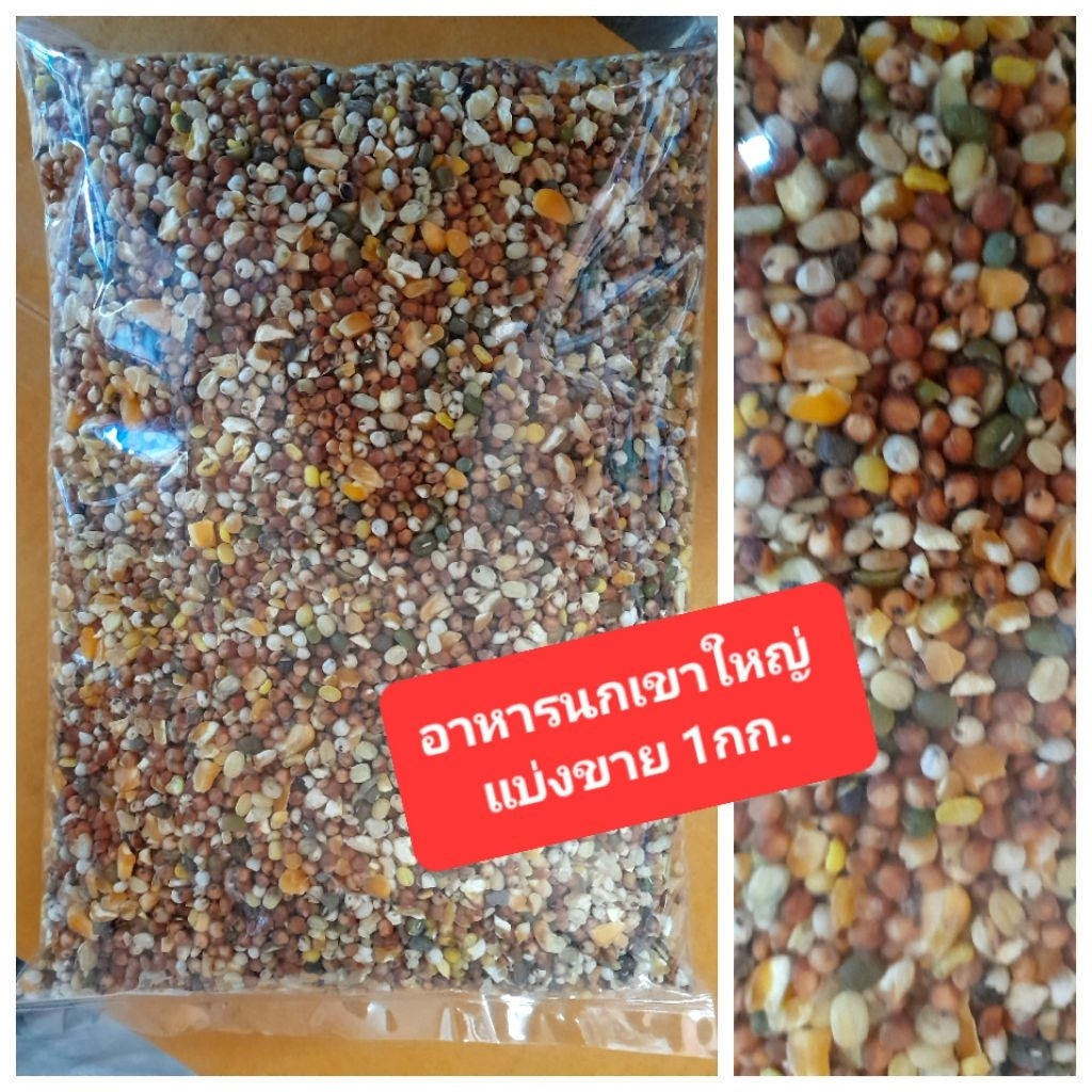 อาหารนกเขาใหญ่ แบ่งขาย 1กิโล