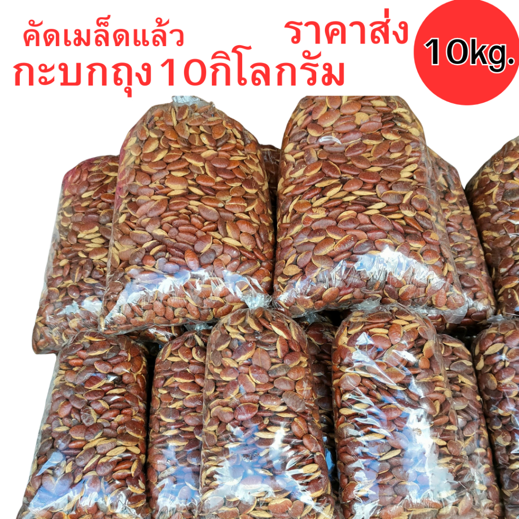 กะบกราคาส่ง10กิโลกรัม คุณภาพสูง ราคาประหยัด 10kg สำหรับการใช้งานในปริมาณที่มาก สะดวกสำหรับการซื้อในปริมาณที่มาก
