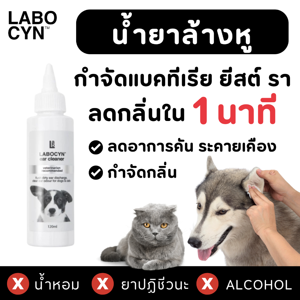 [ลอตใหม่!] Labocyn Ear Cleaner ทำความสะอาดหู คันหู หูอักเสบ เชื้อรา แบคทีเรีย ยีสต์ ลดกลิ่นหู ขี้หู