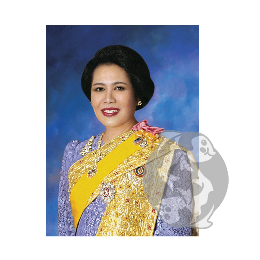 รูปมงคล พระฉายาลักษณ์ รัชกาลที่9 สมเด็จพระราชชนีพันปีหลวง ขนาด 15x21 นิ้ว สำหรับใส่กรอบ หรือติดผนัง