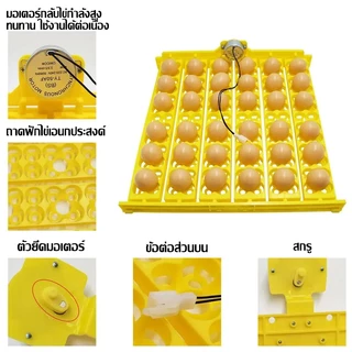 ถาดฟักไข่ อัตโนตู้ฟักไข่ รางฟักไข่ไก่ ไข่นก ถาดหมุนไข่อัตโนมัติ 32ฟอง 48ฟอง 56ฟอง พร้อมมอเตอร์ 220V