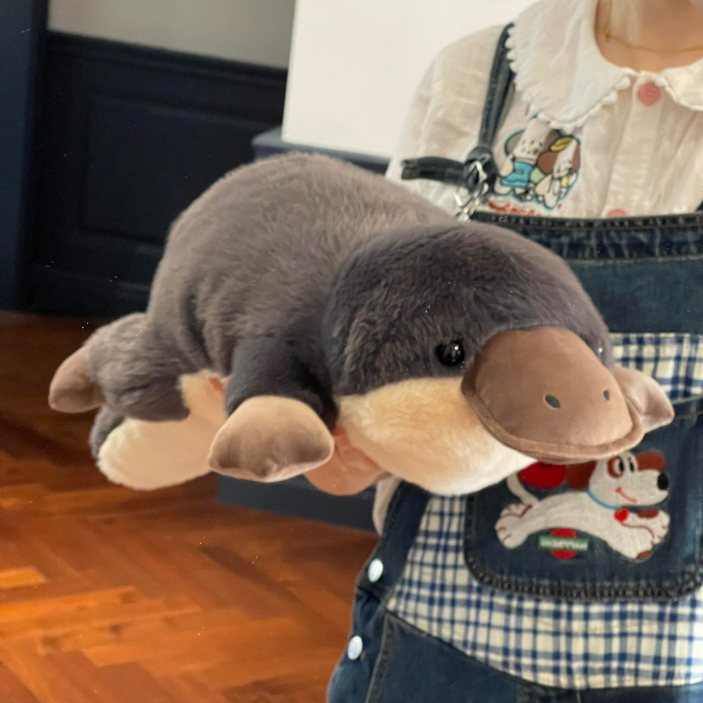 ส่งด่วน🦆ตุ๊กตาตุ่นปากเป็ดน่ารัก platypus plusy doll cute ตัวปากเป็ด ตุ๊กตาน่ารัก ของแต่งบ้าน ตุ่นสายลับ 23249