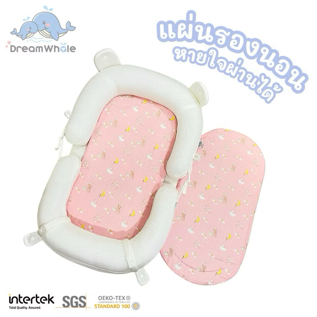 รูปภาพ 8